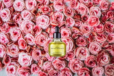Naturkosmetik aus Korea - Blanda Beauty