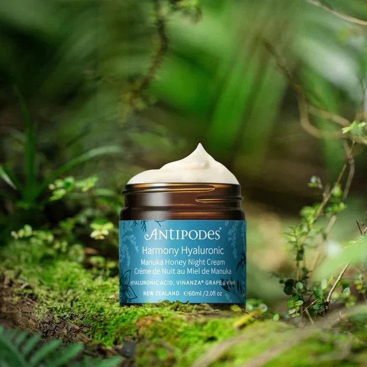 Naturkosmetik Nachtcreme