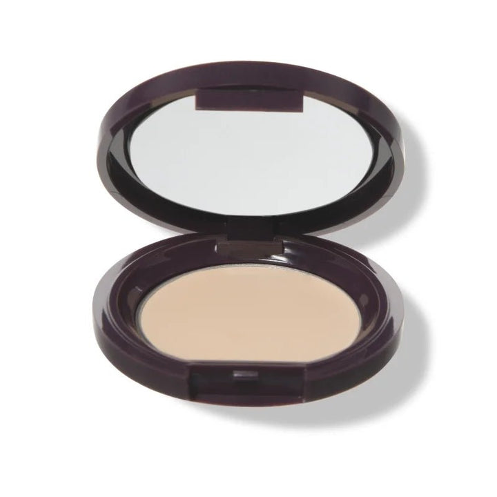 Fruit Pigmented Long Last Concealer with Super Fruits Alpine Rose