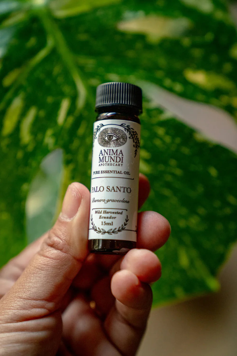 Anima Mundi Palo Santo Essential Oil - in der Hand gehalten
