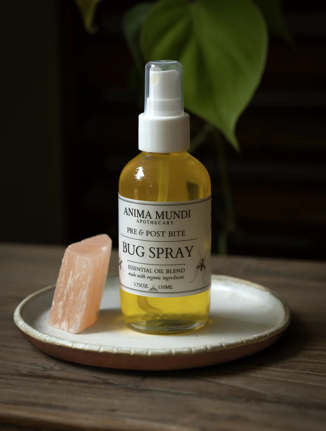 Bug Spray von Anima Mundi Herbals - auf Untersetzer