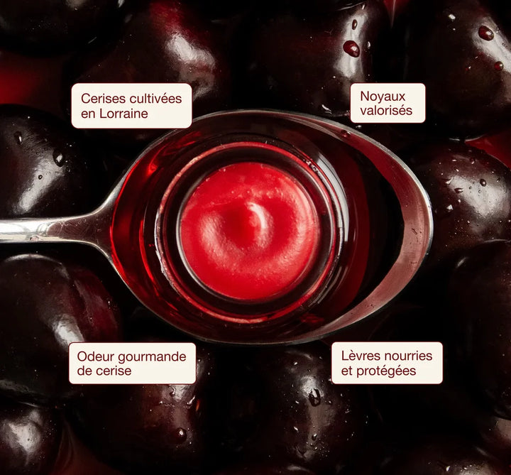 ODEN French Lip Balm Cherry im Tiegel – Close-up mit Produktdetails im Bild