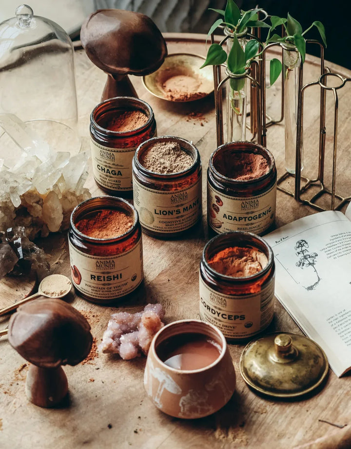 Anima Mundi Chaga Pulver für Kaffee Kakao und Pflanzenmilch