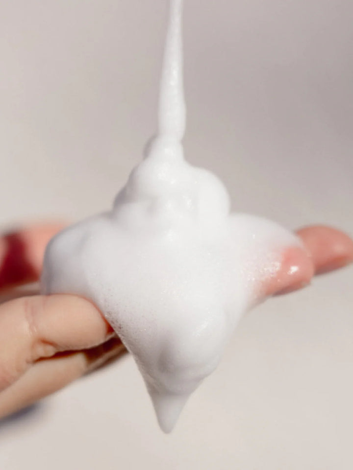 Cleansing Foam With Aromatic Plants - feinster Schaum