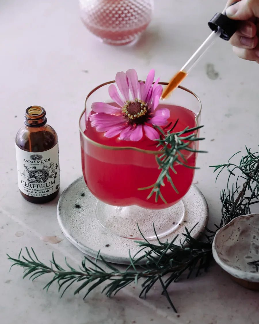 Anima Mundi CEREBRUM Tonic Anwendung