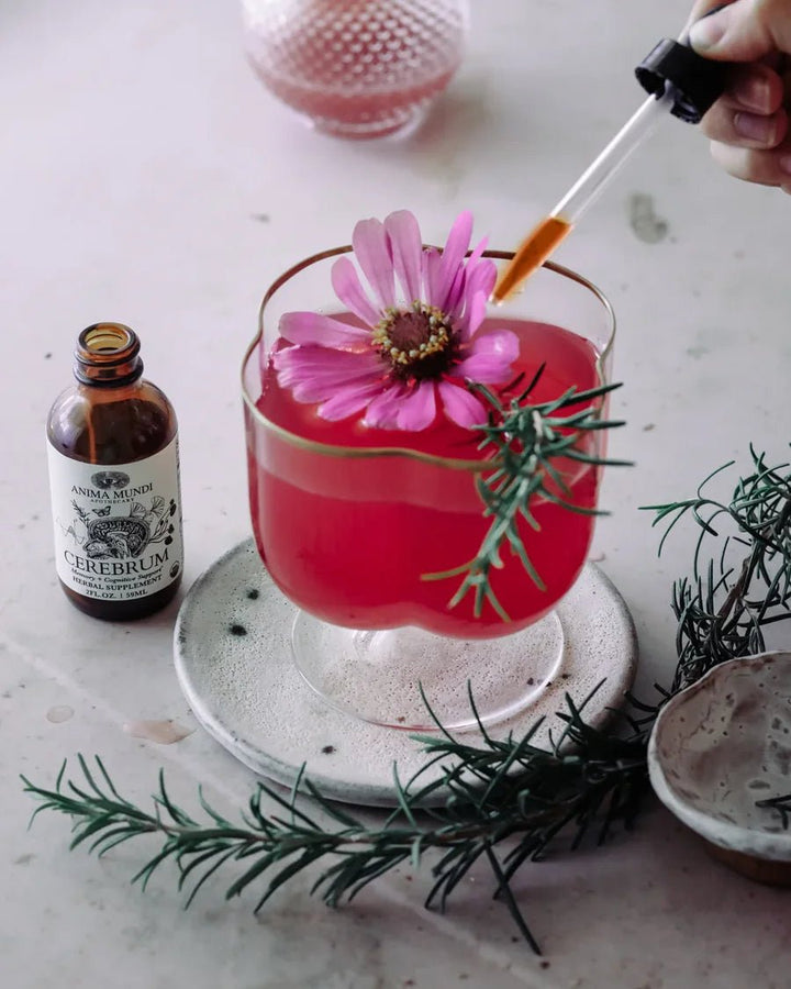 Anima Mundi CEREBRUM Tonic Anwendung