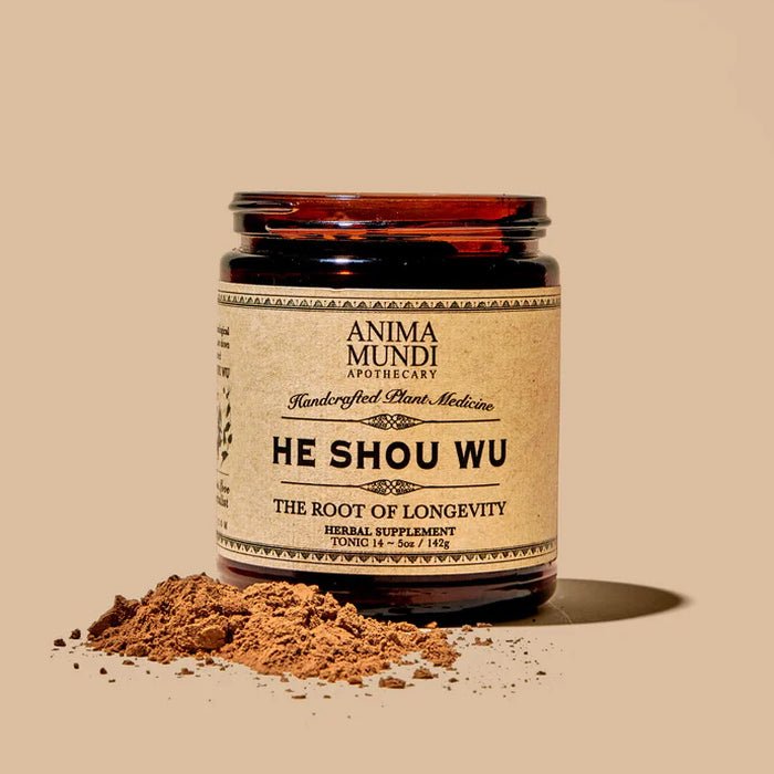 He Shou Wu Pulver auf braunem Hintergrund - traditionelles chinesisches Kraut
