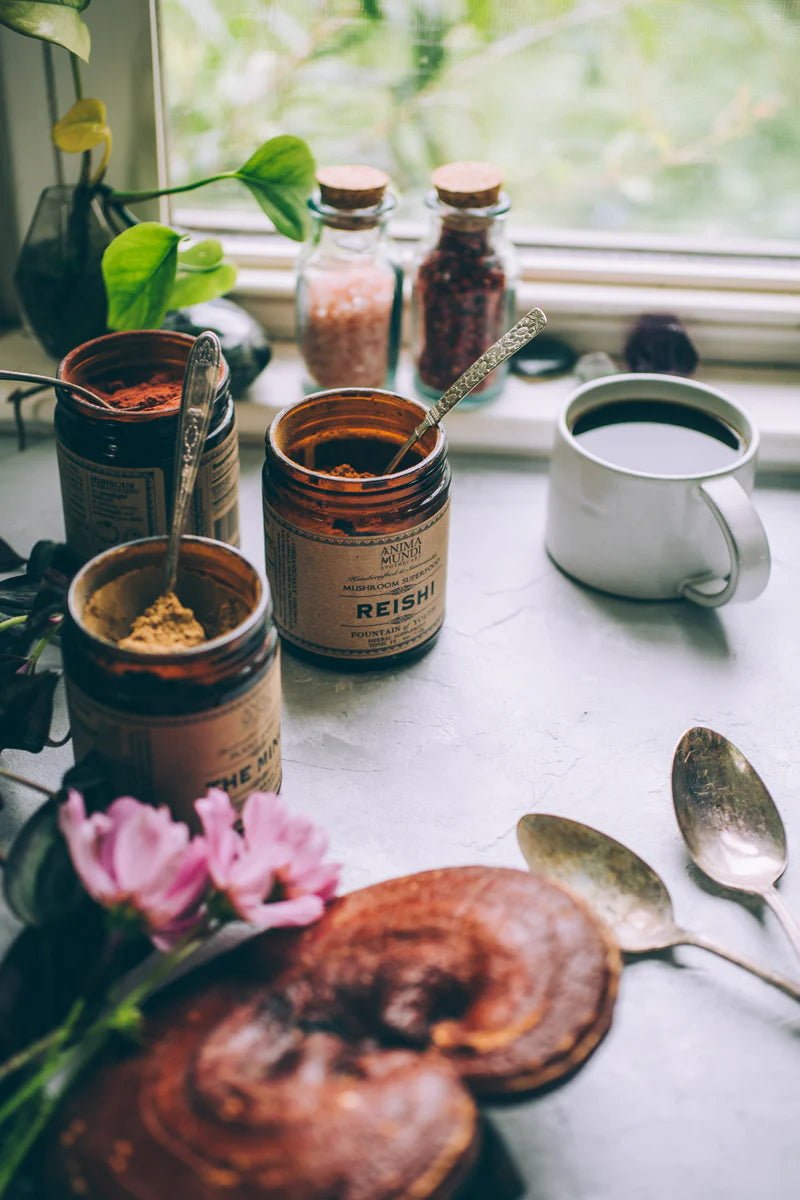 Reishi: Organic Mushroom Powder