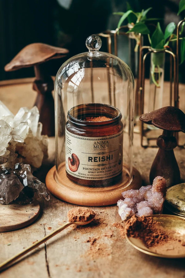 Reishi: Spirit Super Tonic Sill Life 2