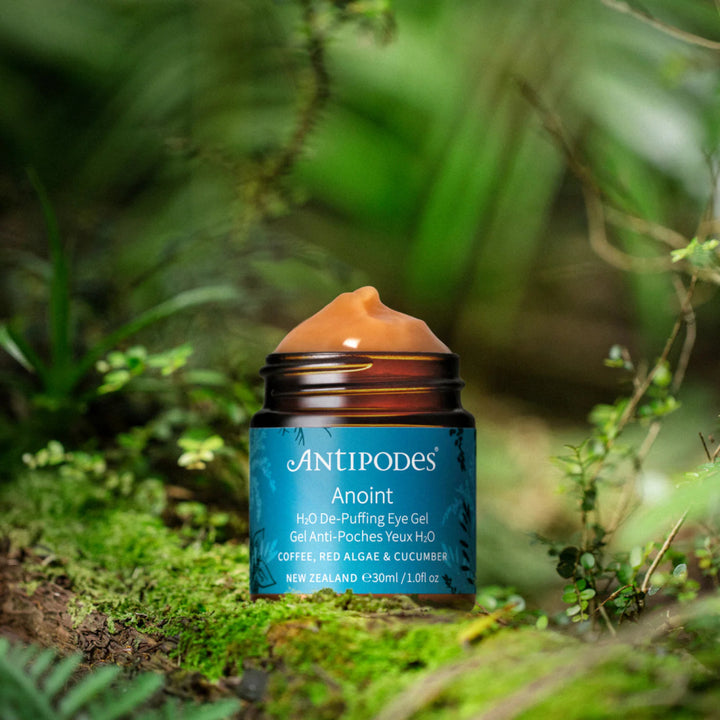 Anoint H2O De-Puffing Eye Gel in der Natur - erfrischendes Augengel