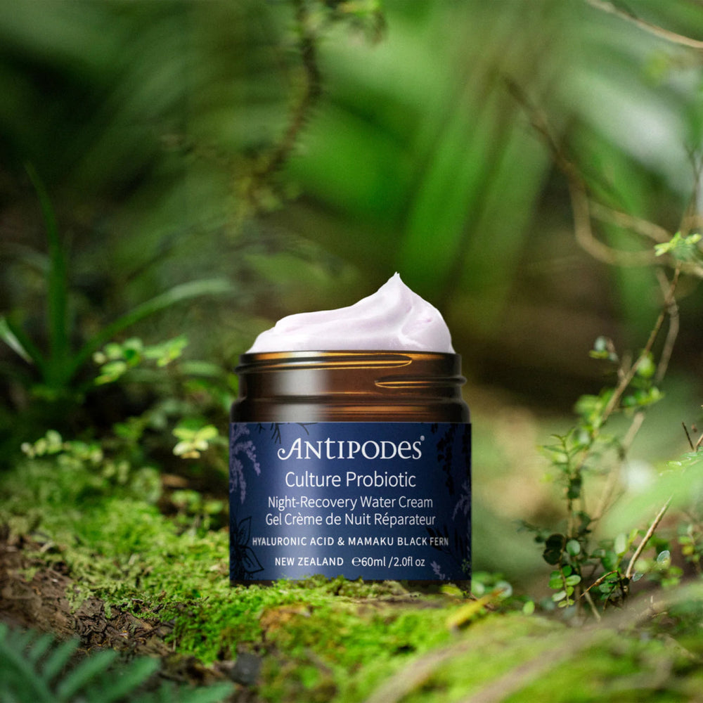 Culture Probiotic Night Recovery Water Cream mit Naturkulisse - Bio-Nachtpflege