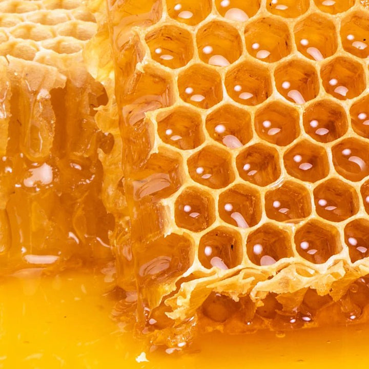 Antipodes Harmony Hyaluronic Manuka Honey Night Cream - Manuka Honig