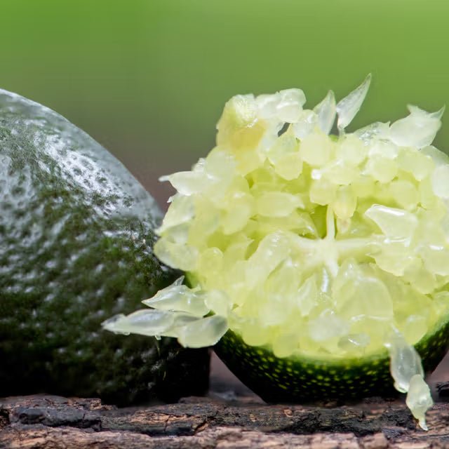 Lime Caviar Fingerlimetten-Extrakt - australischer Superfood-Wirkstoff