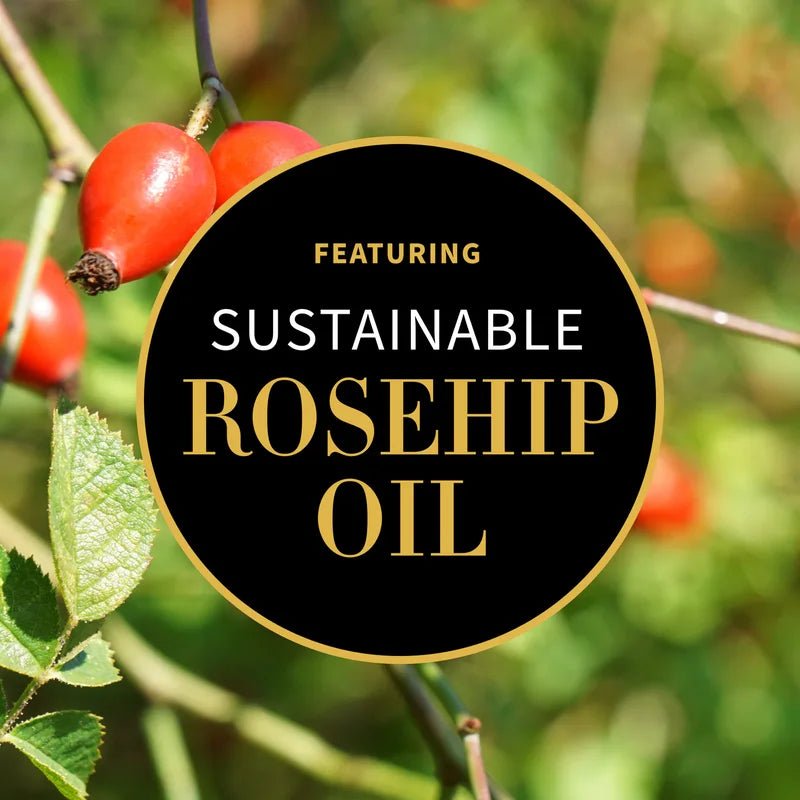 Vanilla Pod Day Cream mit Hagebuttenöl - Anti-Aging Wirkstoff