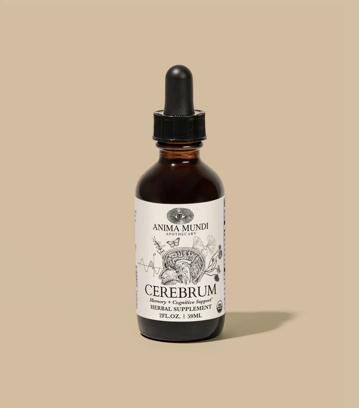 CEREBRUM Tonic mit Brahmi, Ginkgo und Lion’s Mane