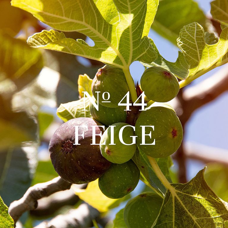 Frau Tonis Parfum No 44 Feige - Mood Feigenbaum