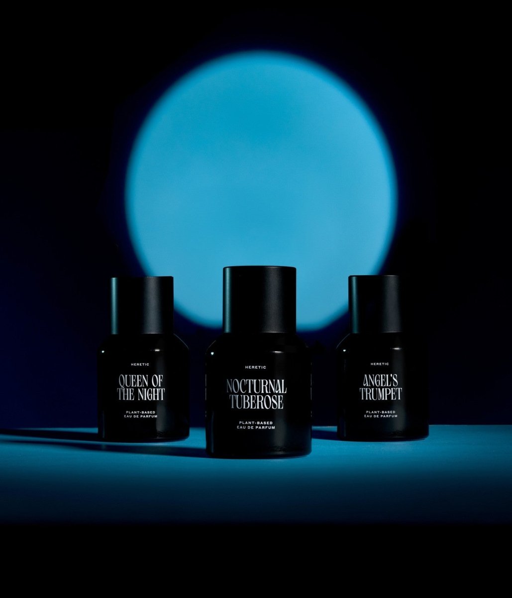 Angel's Trumpet - Blanda Beauty