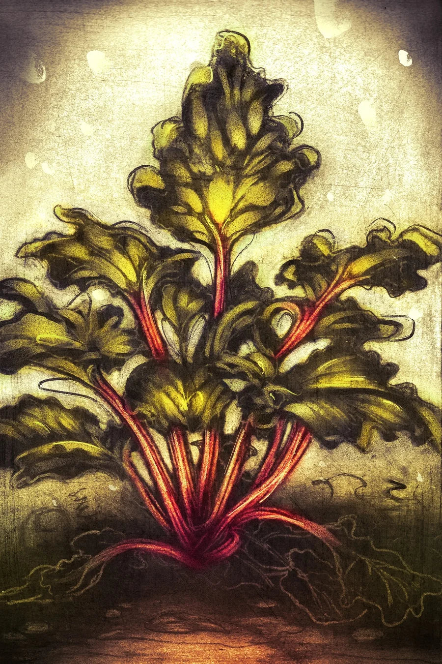 Heretic Parfum Rhubarb Thief - Rhabarber Zeichnung