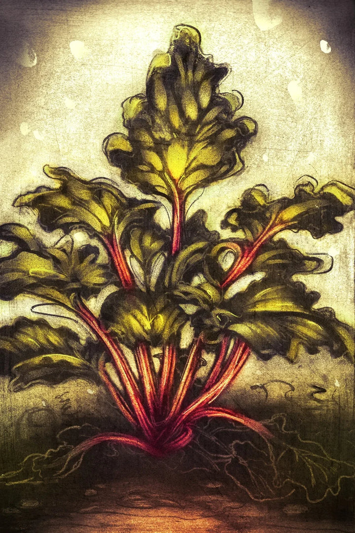 Heretic Parfum Rhubarb Thief - Rhabarber Zeichnung