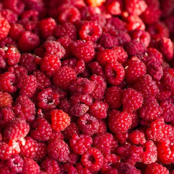 French Raspberry Oil von Oden - Himbeeren