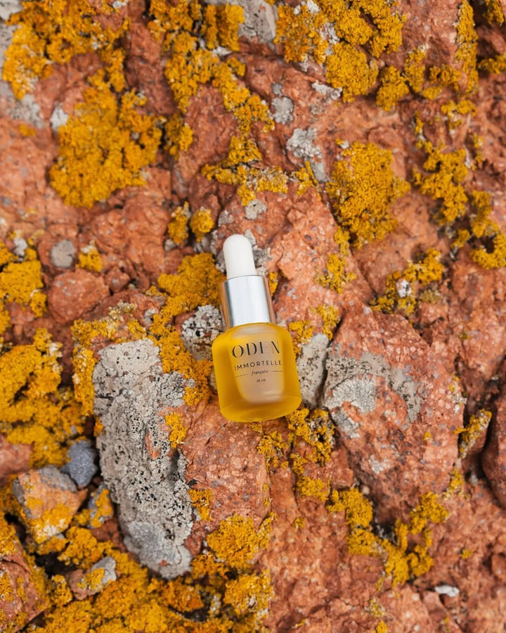 French Immortelle Oil 15 ml - Mood on Tree
