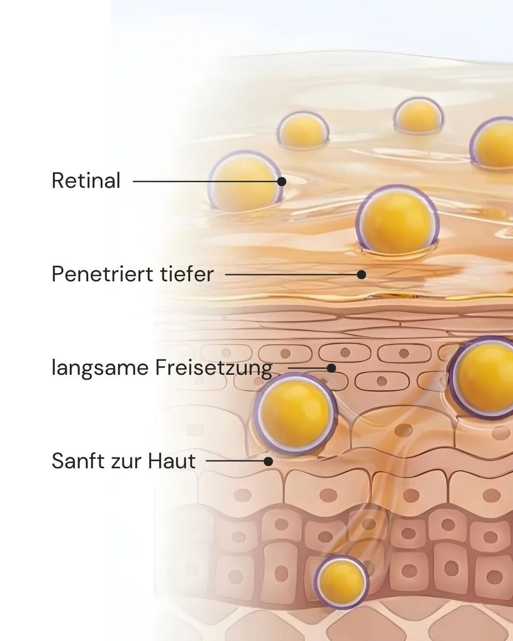 Mikroverkapseltes Retinal im MERME Berlin New by Morning Retinal Face Serum