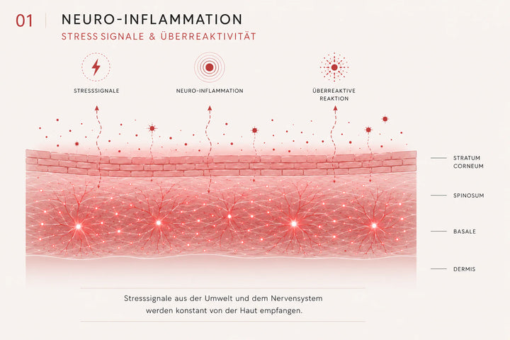 NeuroCalm Serum - Hautzustand Entzündlich