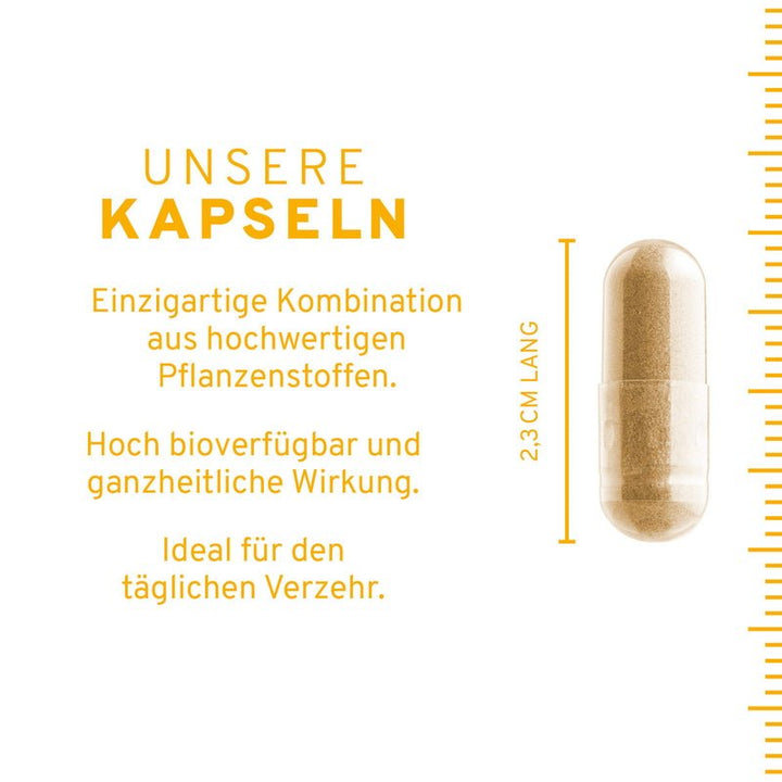 Stoffwechsel Plus Kapseln - Kapseln