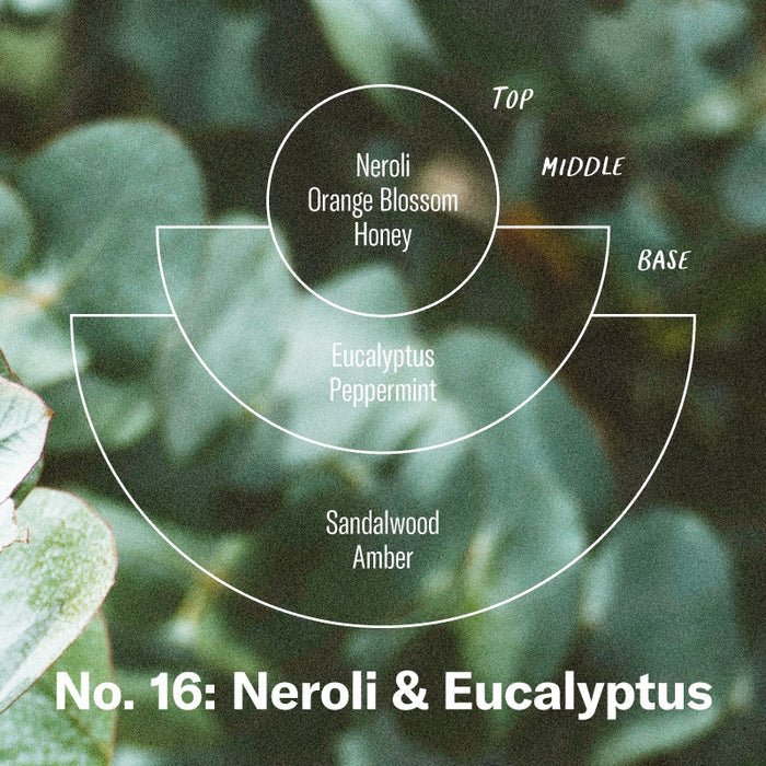 P.F. Candle Co. No. 16 Neroli & Eucalyptus - Duftpyramide
