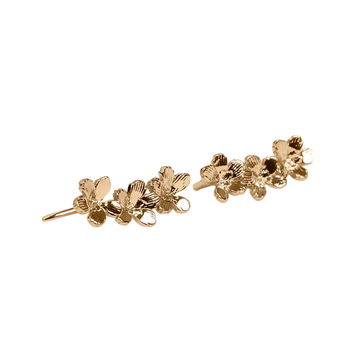 Waekura Siena Earrings / Contours 