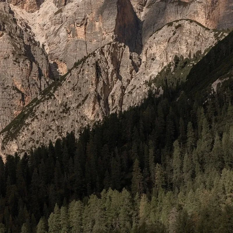 Dolomiti Digestiv - Südtirol